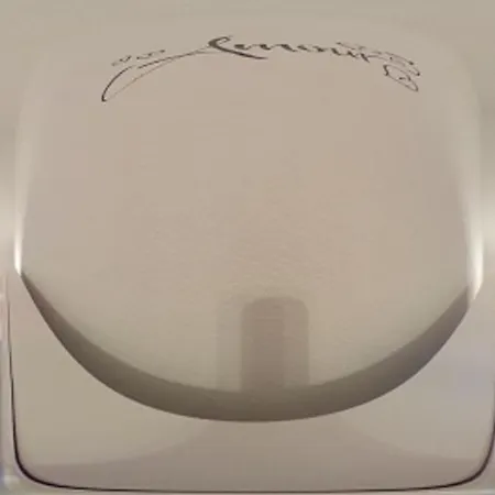 Vesna Milisa Apartment *