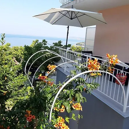 Vesna Milisa شقة *